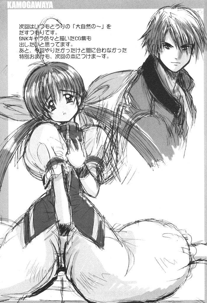 (C61) [Kamogawaya (Kamogawa Tanuki)] Oniichan Gomen ne (Fatal Fury) - Page 20