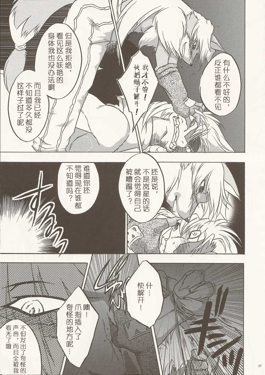 (C80) [Kimidori (Various)] Black Horse Love Hole (Legendz: Tale of the Dragon Kings) [Chinese] [尾窝汉化组] - Page 26