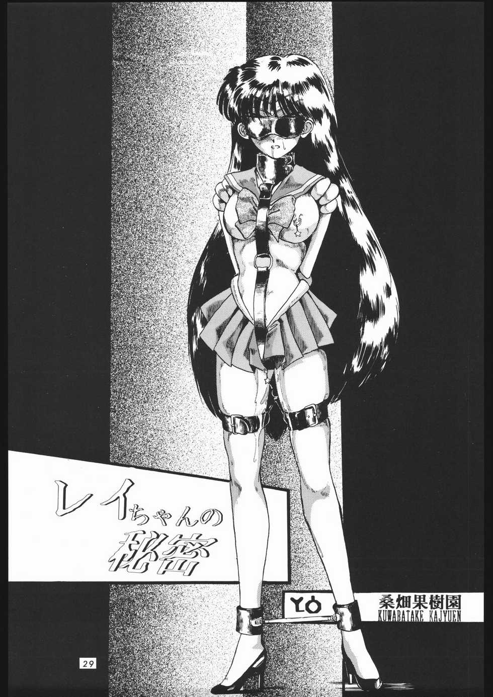 [Shounen Yuuichirou (Various)] Shounen Yuuichirou Vol. 1.2 Kiseki no Gattai Gou (Bishoujo Senshi Sailor Moon) - Page 28
