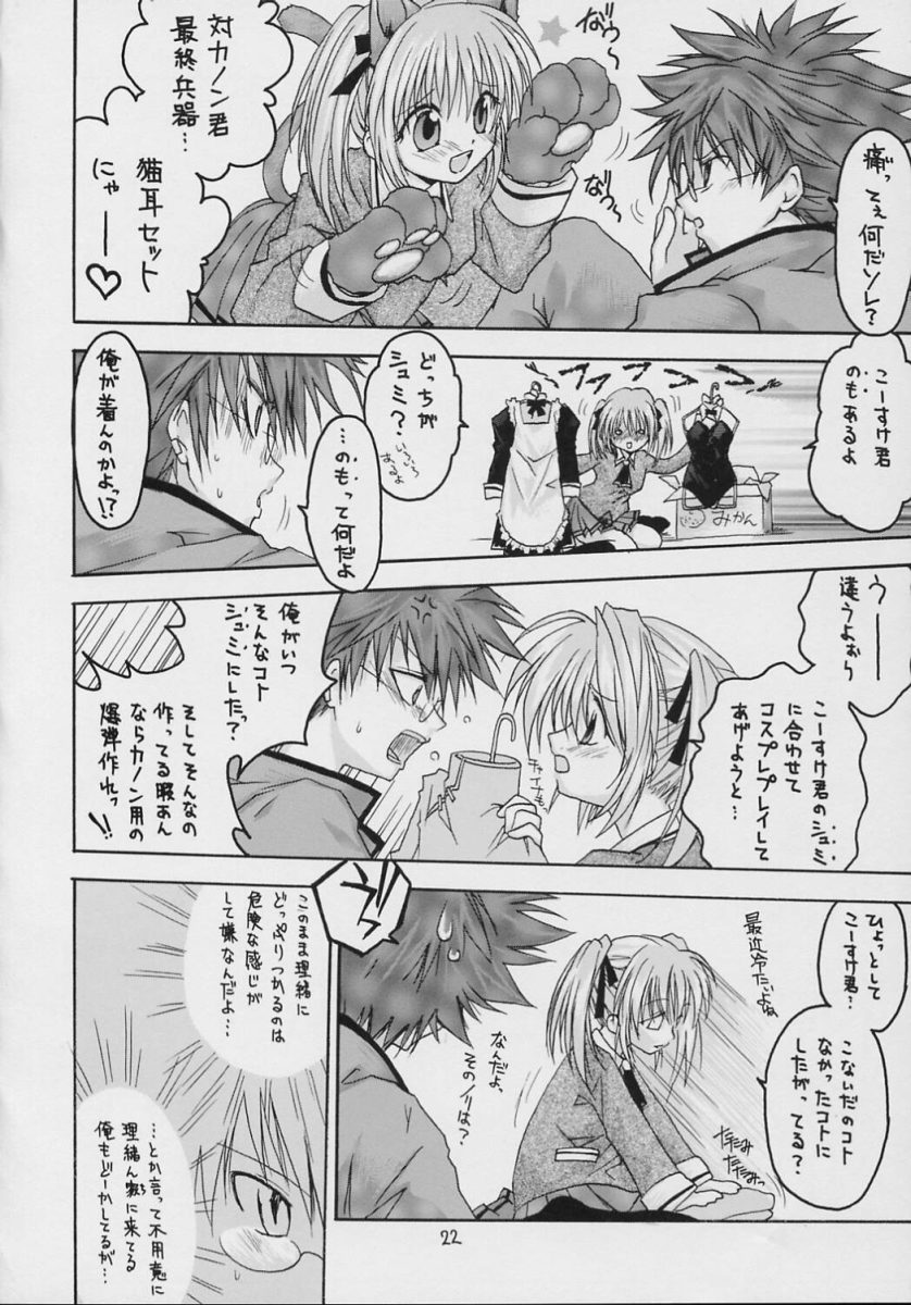 (C69) [RED RIBBON REVENGER (Makoushi)] Valhalla ~ Dainishou~ Fuyu no Arashi (Spiral) - Page 21