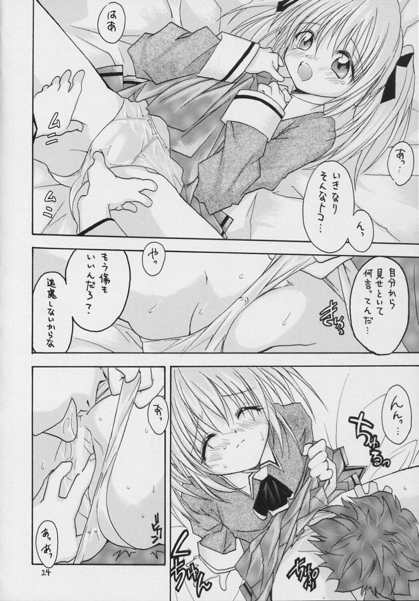 (C69) [RED RIBBON REVENGER (Makoushi)] Valhalla ~ Dainishou~ Fuyu no Arashi (Spiral) - Page 23