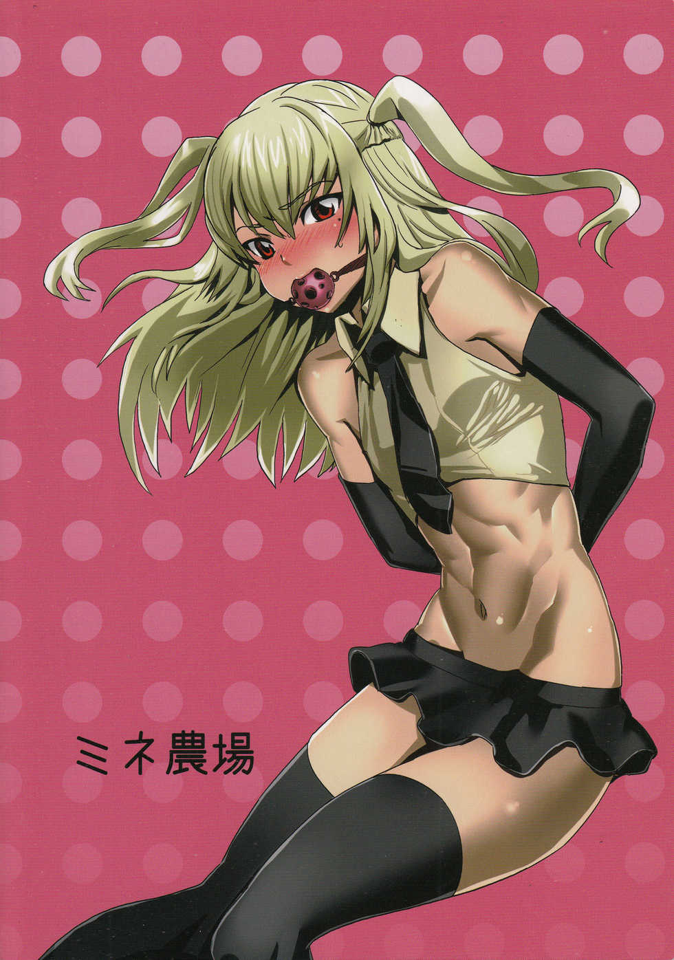 (C80) [Mine Noujou (Kirsi)] Inran Seibo Mariya-sama (Maria Holic) [Incomplete] - Page 1