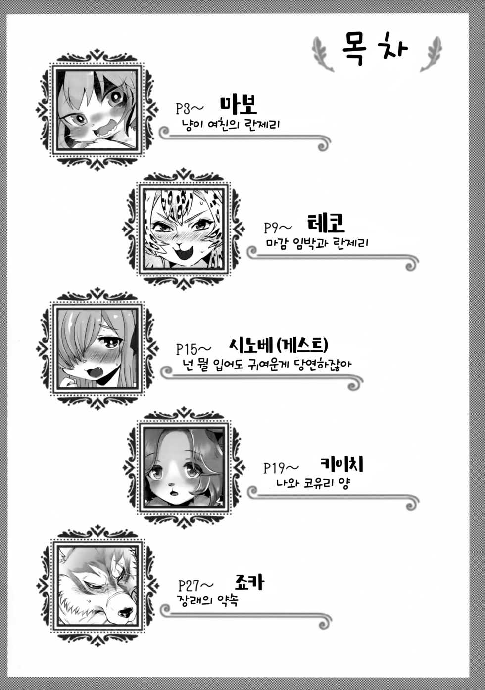(Kemoket 7) [miyubi (Various)] Ran to Houseki ~run jewel~ | 난초와 보석 ~run jewel~ [Korean] [TeamHT] - Page 4