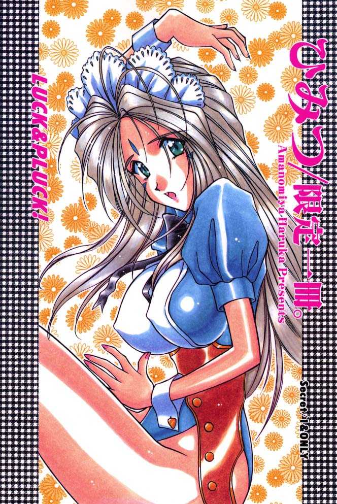 [LUCK&PLUCK!Co. (Amanomiya Haruka) Himitsu/Gentei Issatsu (Ah! My Goddess, You're Under Arrest!) [English] - Page 1