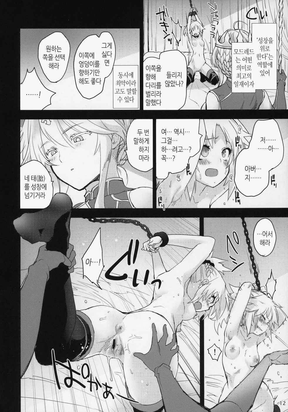 (COMIC1☆15) [Peθ (Mozu)] "Seisou" Batsubyou (Fate/Grand Order) [Korean] - Page 11
