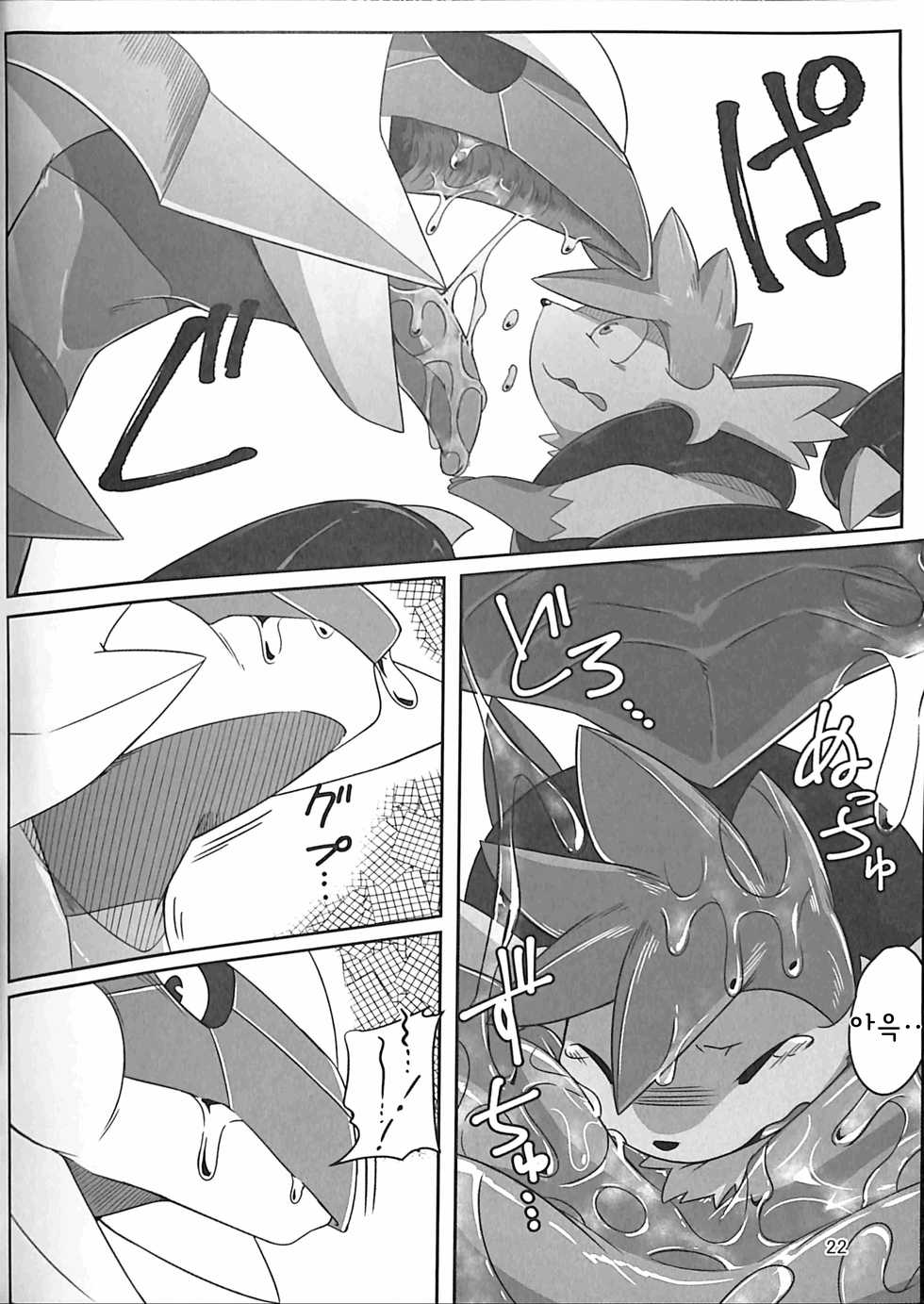 (Kemoket 6) [Red x Blue (uMe)] Ai -Kuroi Ai- |  사랑 -검은 사랑- (Pokémon) [Korean] - Page 21