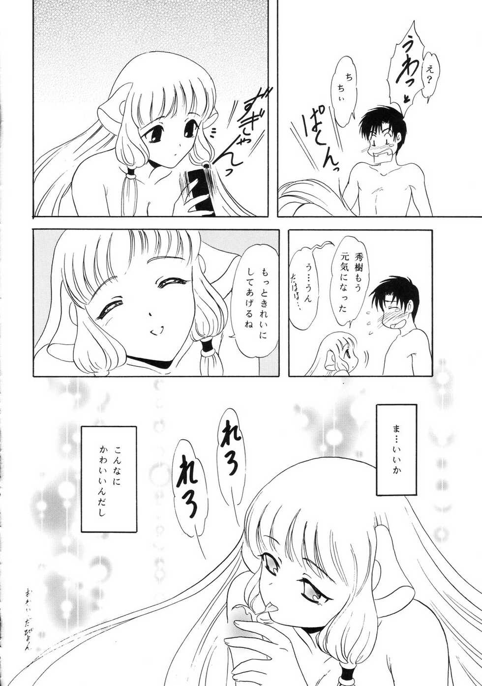 (C62) [Chandora & Lunchbox (Makunouchi Isami)] FAIRY GARDEN (Chobits) - Page 23