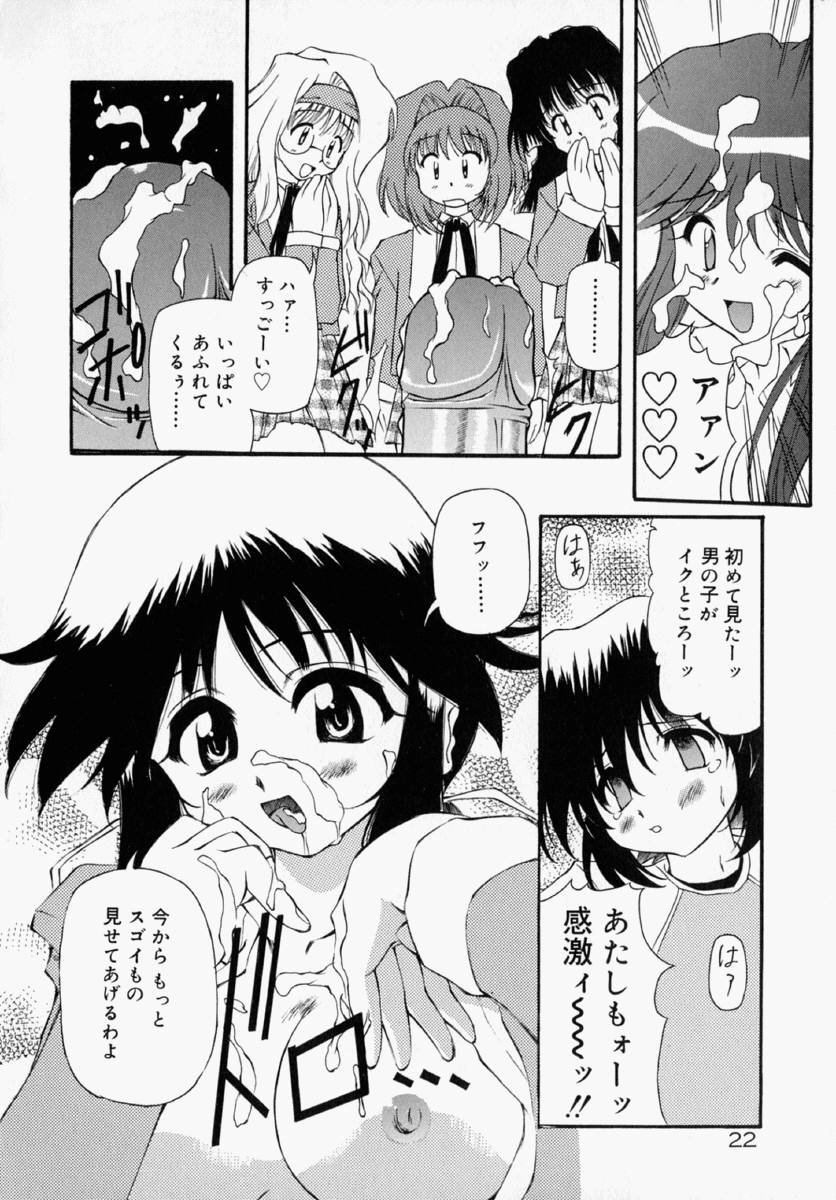 [Yasui Hirosato] Honto wa Suki Nanda+ - Page 28