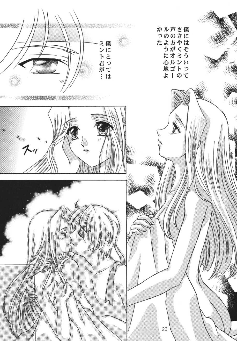 (C59) [Milk Crown (Kazuki Yuu)] Tsuki no Hikari no Orgel (Tales of Phantasia) - Page 22