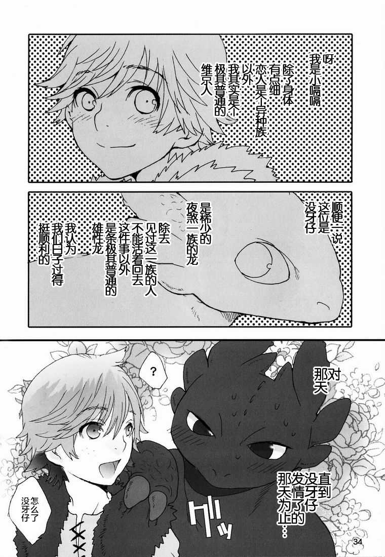 (C80) [Kon'na Tokoro no Kin'niku made Kitaeru nante... (Sugoi Kin'niku)] BEST PARTNER4 (How to Train Your Dragon) [Chinese] [逃亡者x新桥月白日语社汉化] - Page 33