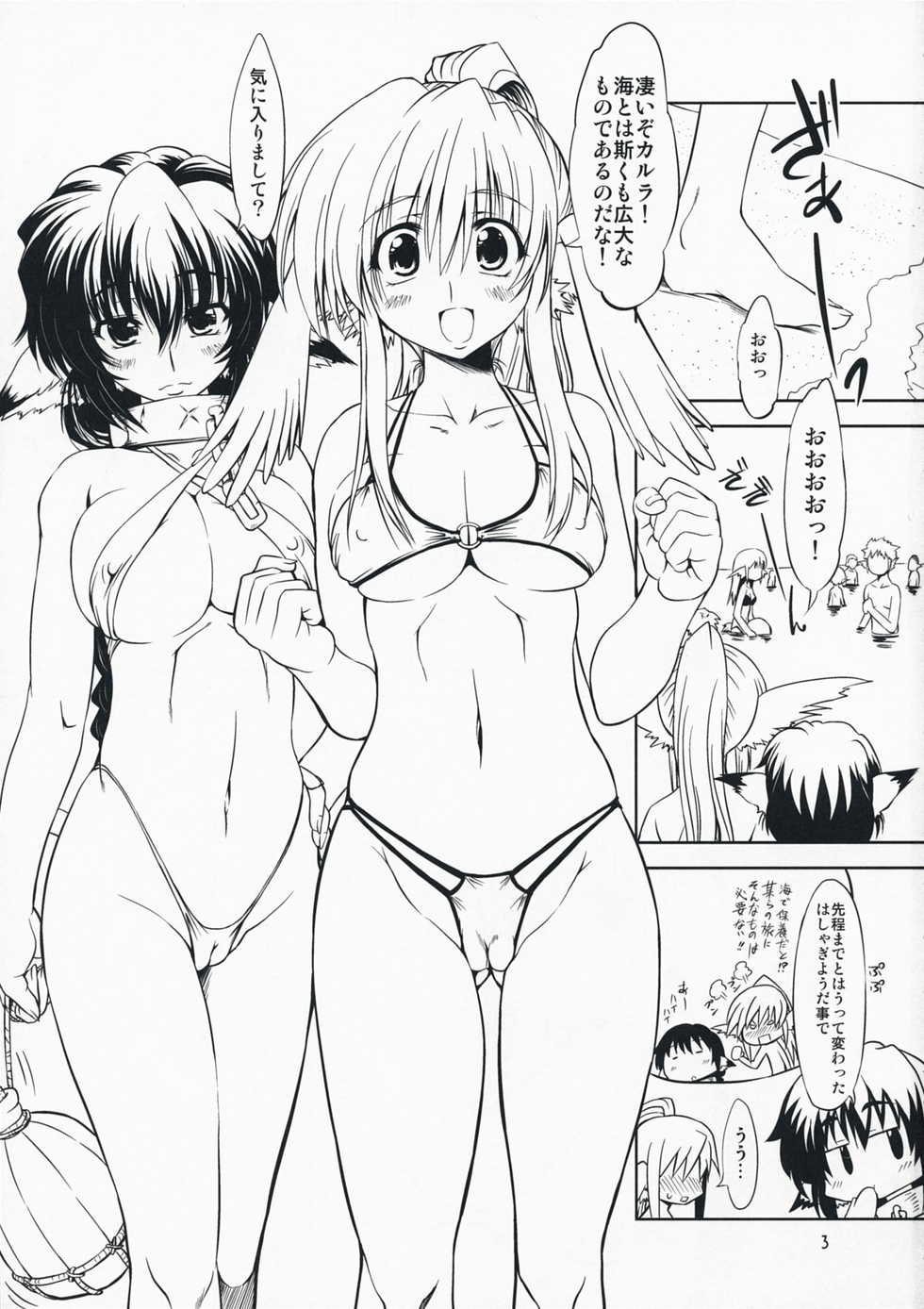 (C76) [Chinpudo (Marui)] Hashokukei (Utawarerumono, Tears to Tiara) - Page 2
