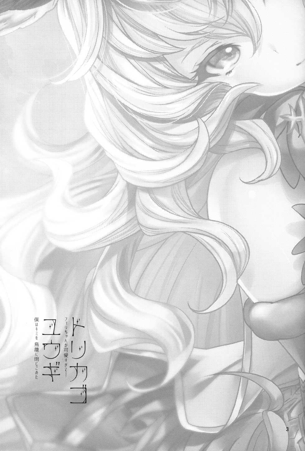 (C96) [Caramel Mamire (Akagi Rio)] Torikago Yuugi (Granblue Fantasy) - Page 2