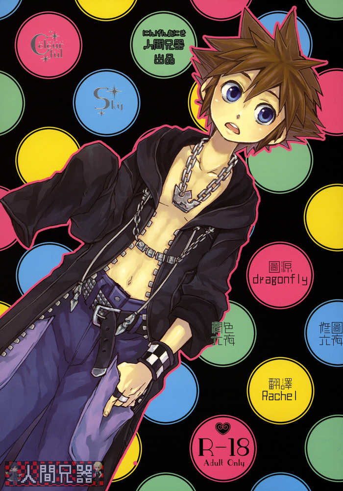 (C73) [RS (Samwise)] Colourful Sky (Kingdom Hearts) [Chinese] [人間兄器] - Page 1