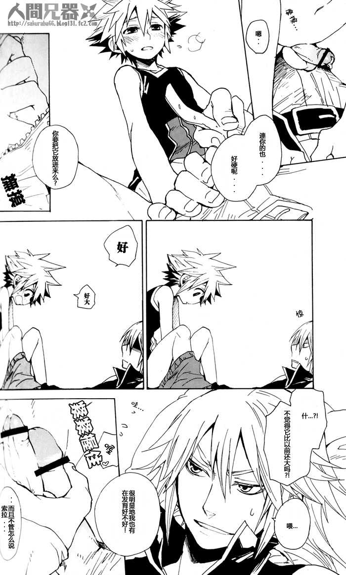 (C73) [RS (Samwise)] Colourful Sky (Kingdom Hearts) [Chinese] [人間兄器] - Page 10