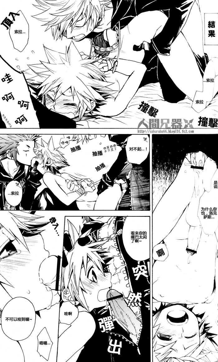 (C73) [RS (Samwise)] Colourful Sky (Kingdom Hearts) [Chinese] [人間兄器] - Page 29