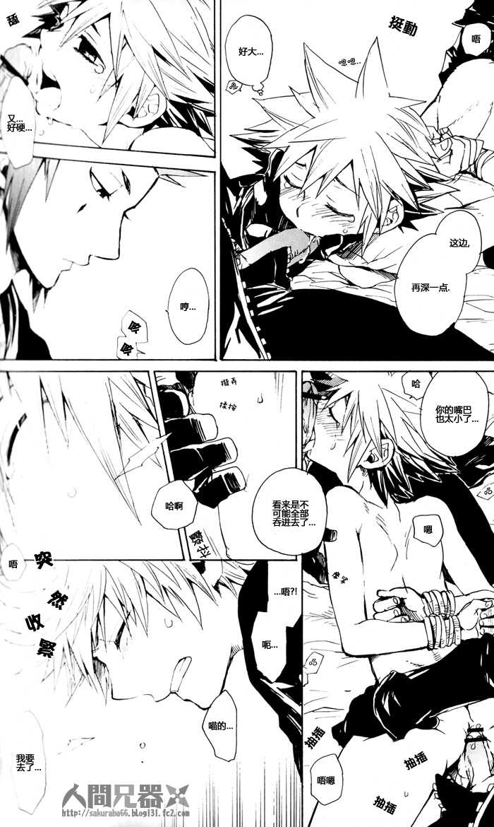 (C73) [RS (Samwise)] Colourful Sky (Kingdom Hearts) [Chinese] [人間兄器] - Page 30