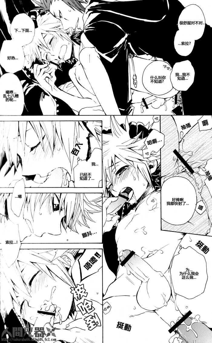 (C73) [RS (Samwise)] Colourful Sky (Kingdom Hearts) [Chinese] [人間兄器] - Page 36