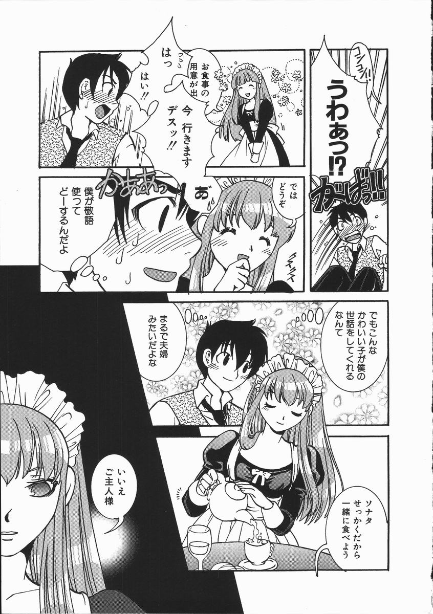 [Suika Koron] Maid Choukyou Manual - Manual Of Maid Training - Page 14
