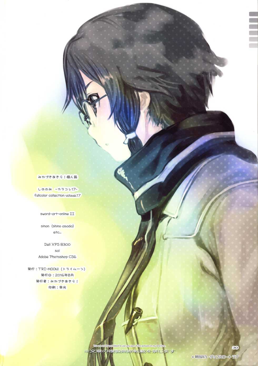 (C90) [TRI-MOON! (Mikazuki Akira!)] Shino Nomi (Sword Art Online) [English] {Hennojin} - Page 29