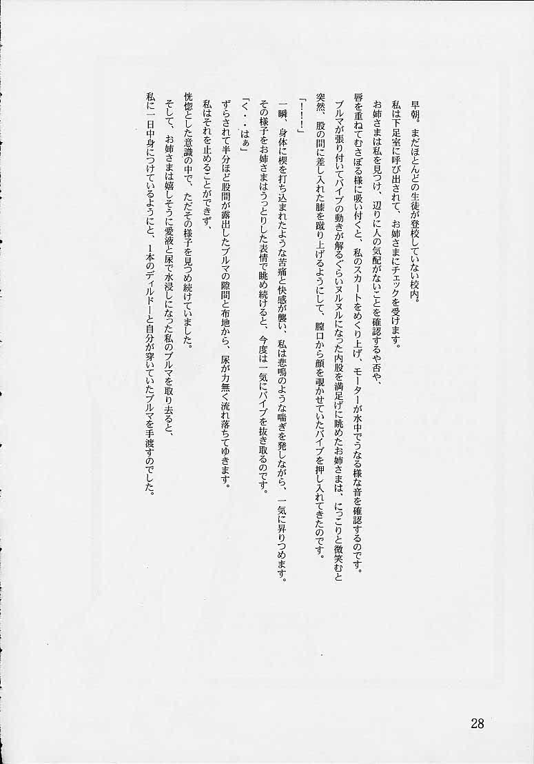 [DARK SIDE-G (Munrokun, TEI-OH “K” TAKAMURO)] Meiki Bloomer Yogurt 2 (Street Fighter) - Page 27