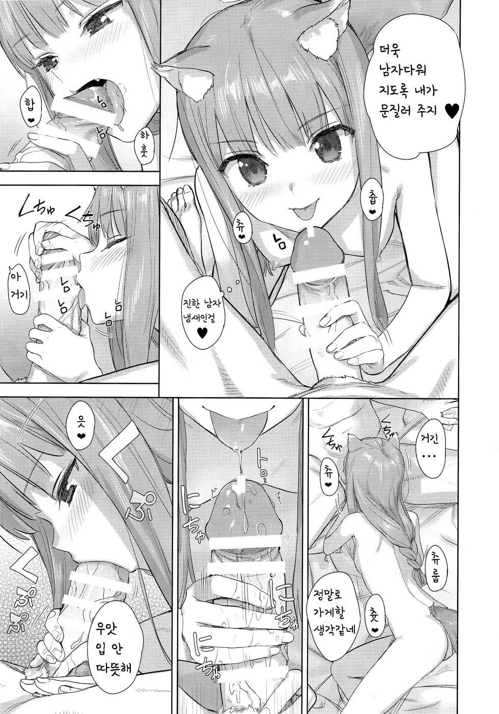 (C96) [Ajisaidenden (Kawakami Rokkaku, Takanashi Rei)] Wacchi to Shippori Kezukuroi Bon | 나와 다정히 털손질 하는 책 (Spice and Wolf) [Korean] [팀실버] - Page 11