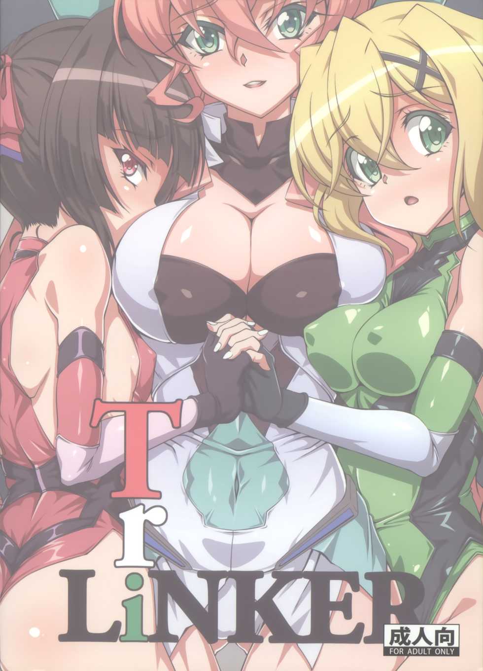 (C92) [CLOCK (Syunzo)] TriLiNKER (Senki Zesshou Symphogear) [Korean] - Page 22