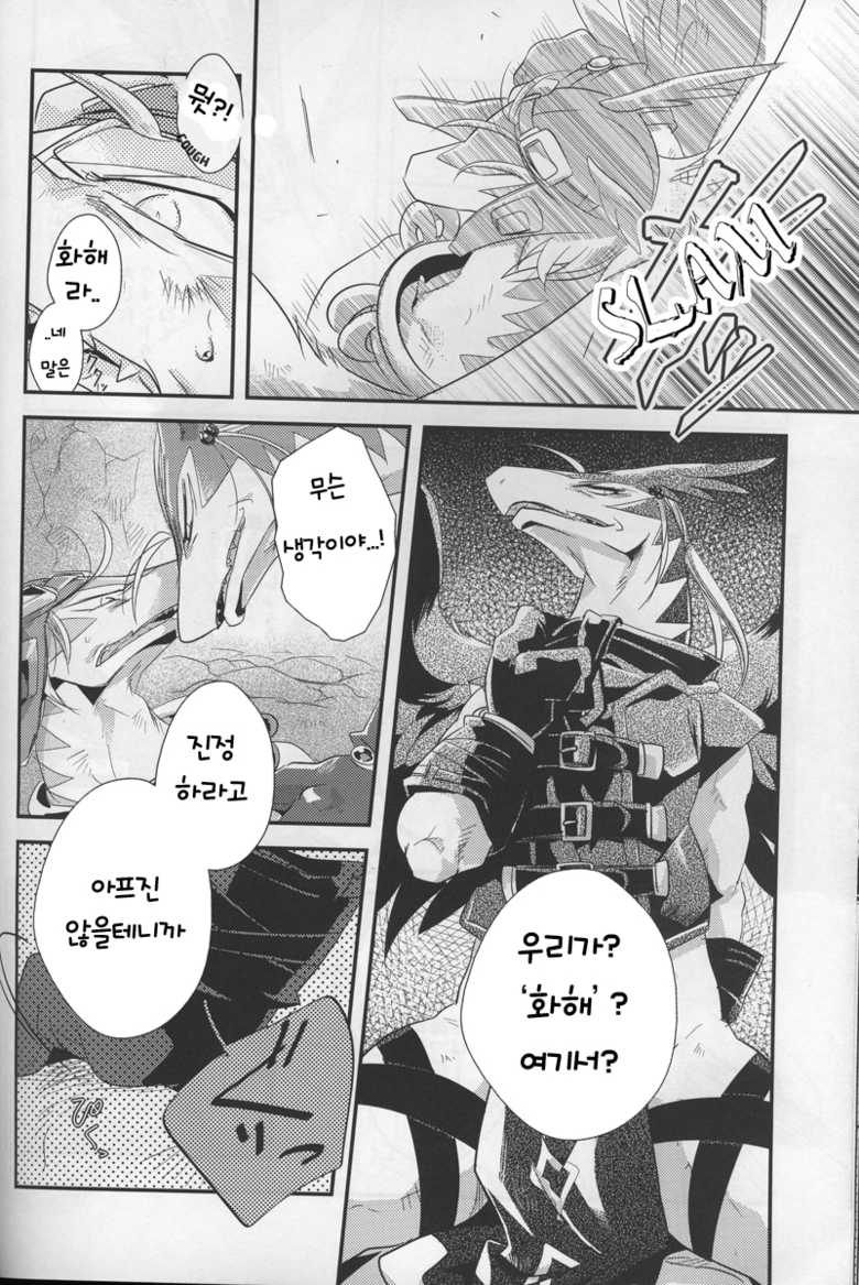 (C76) [Kimidori (Harumati Ituko)] DOUBLE BIND (Legendz: Tale of the Dragon Kings) [Korean] [TeamHT] - Page 10