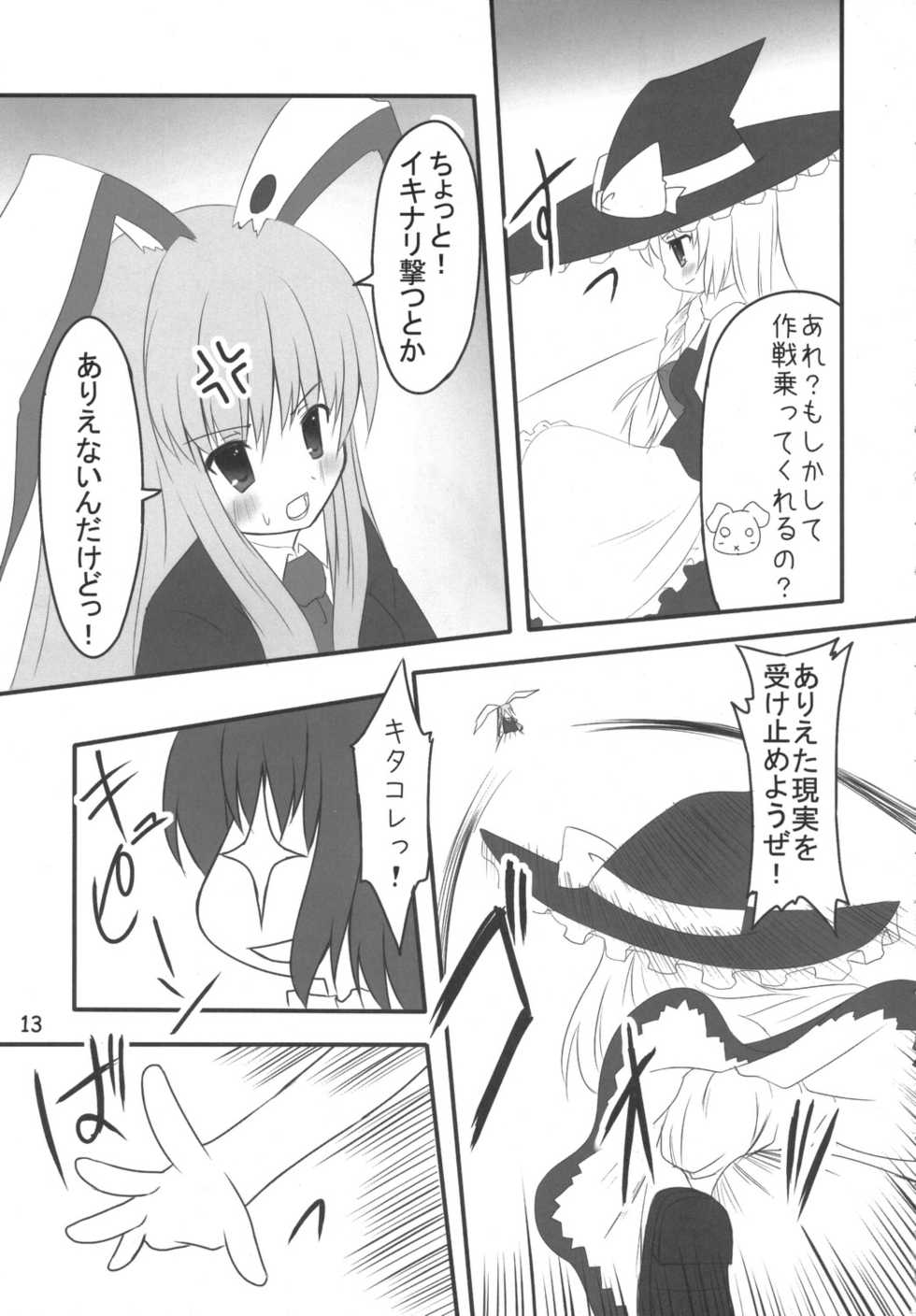 (C70) [PoM (Monchy)] Usa Uso Do-sagi Cuniculus 2 (Touhou Project) - Page 12