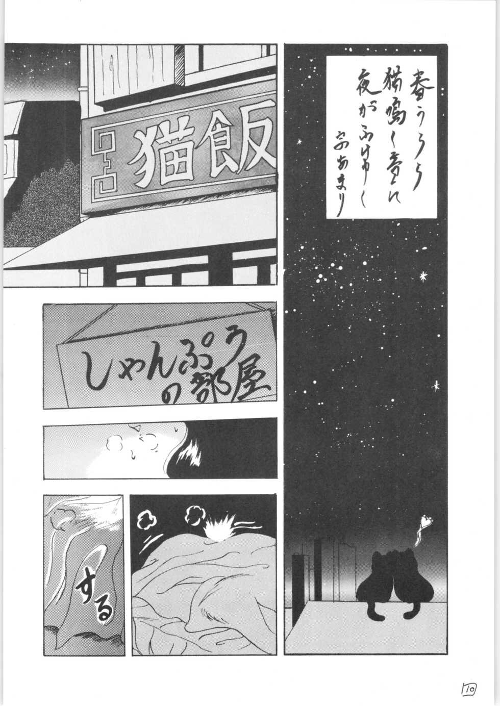 [L-Gauge Sha (Shouryuu)] WA (Ranma 1/2) - Page 9