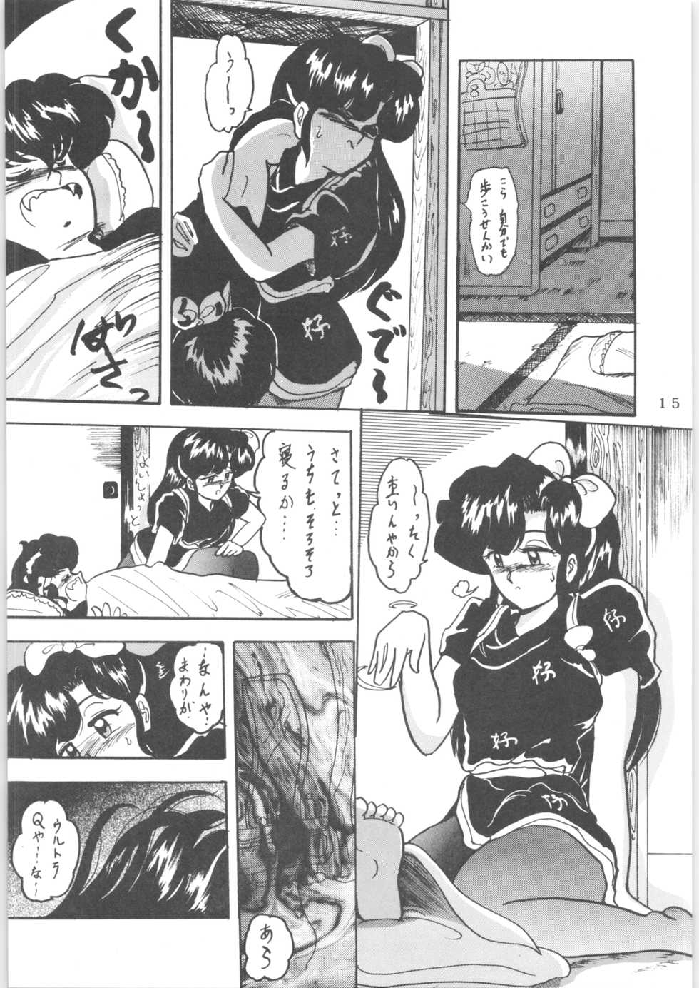 (C43) [L-Gauge Sha (Shouryuu)] WA 2 (Ranma 1/2, Bastard) - Page 14