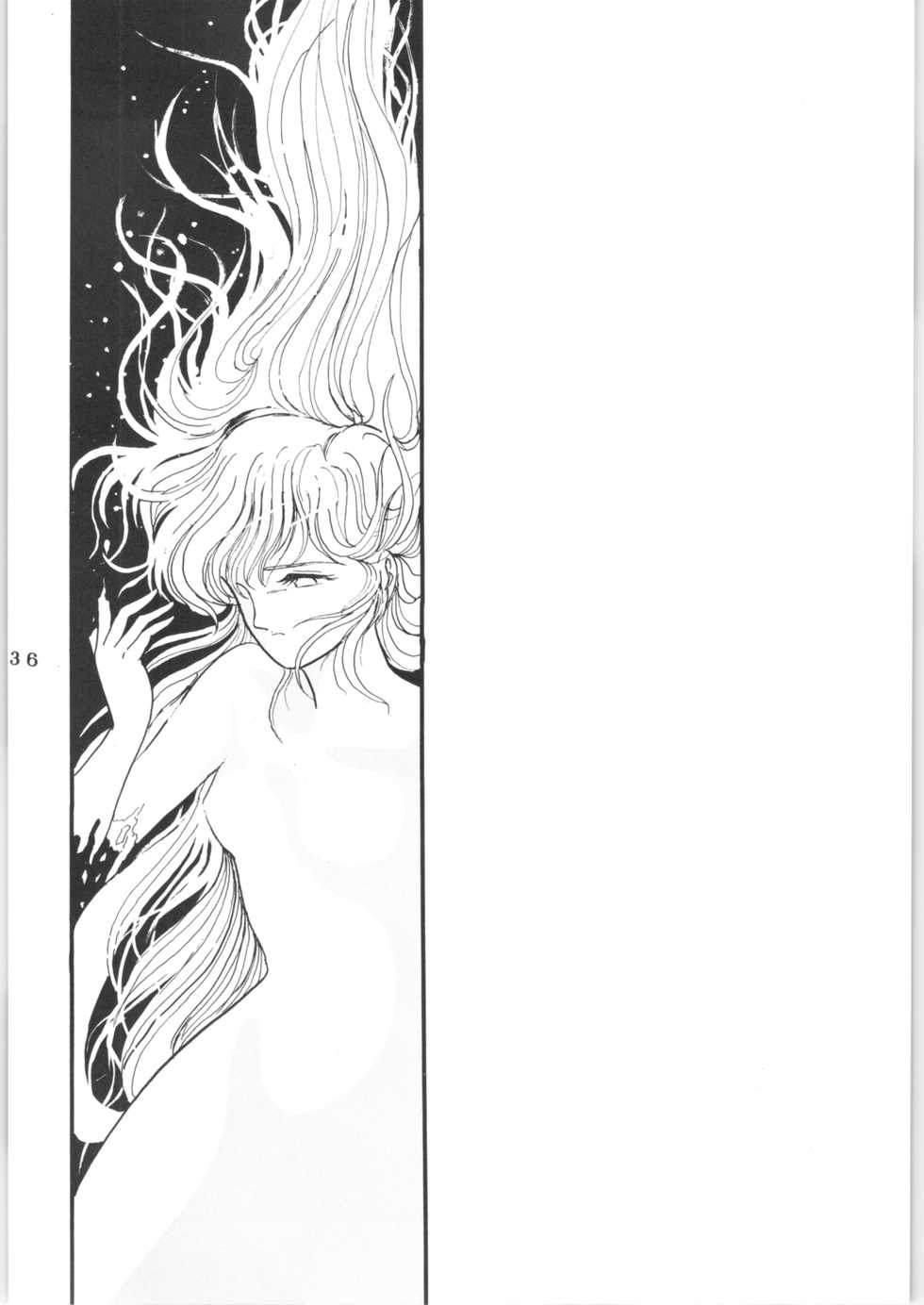 (C43) [L-Gauge Sha (Shouryuu)] WA 2 (Ranma 1/2, Bastard) - Page 35