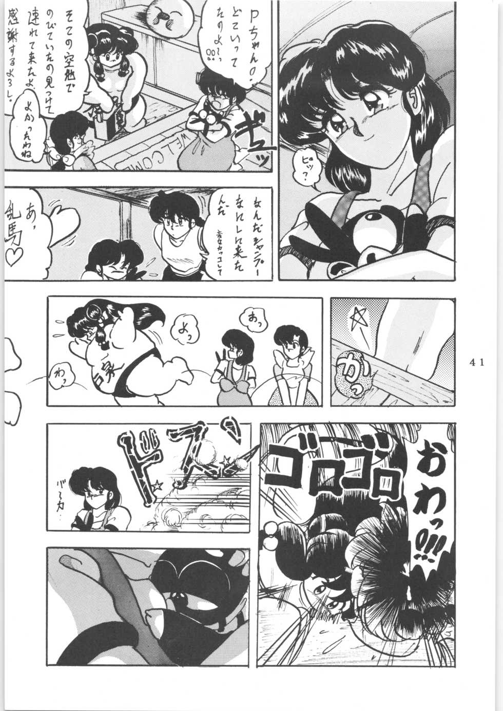 (C43) [L-Gauge Sha (Shouryuu)] WA 2 (Ranma 1/2, Bastard) - Page 40
