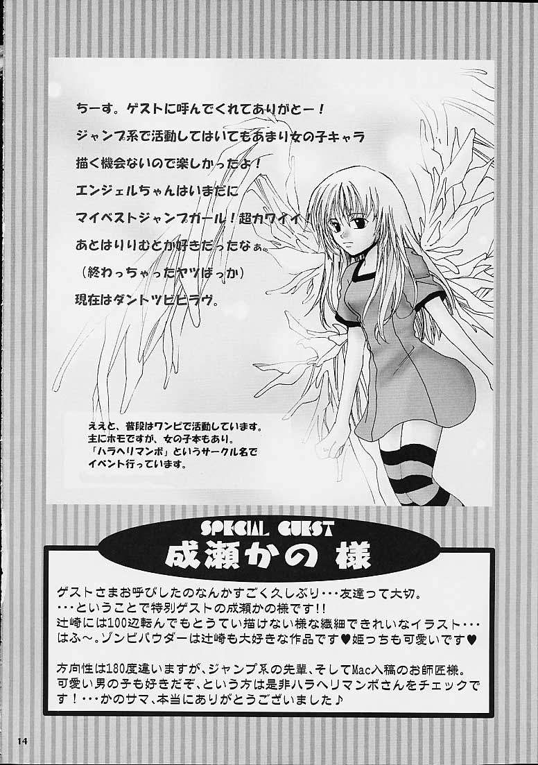 (C60) [Brough-Superior (Tsujisaki Sou)] Tobukusuri (Shaman King, One Piece) - Page 12