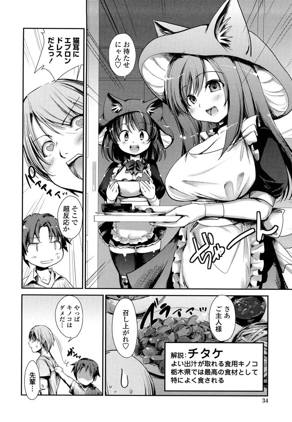 [Nixinamo Lens] Nekokino to Ame no Machi - Cat Mushroon Girl And Town of Rain - Page 34