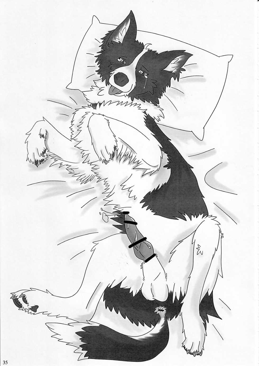 (Fur-st 3) [KTQ48 (Various)] KTQ 15 (Various) - Page 36