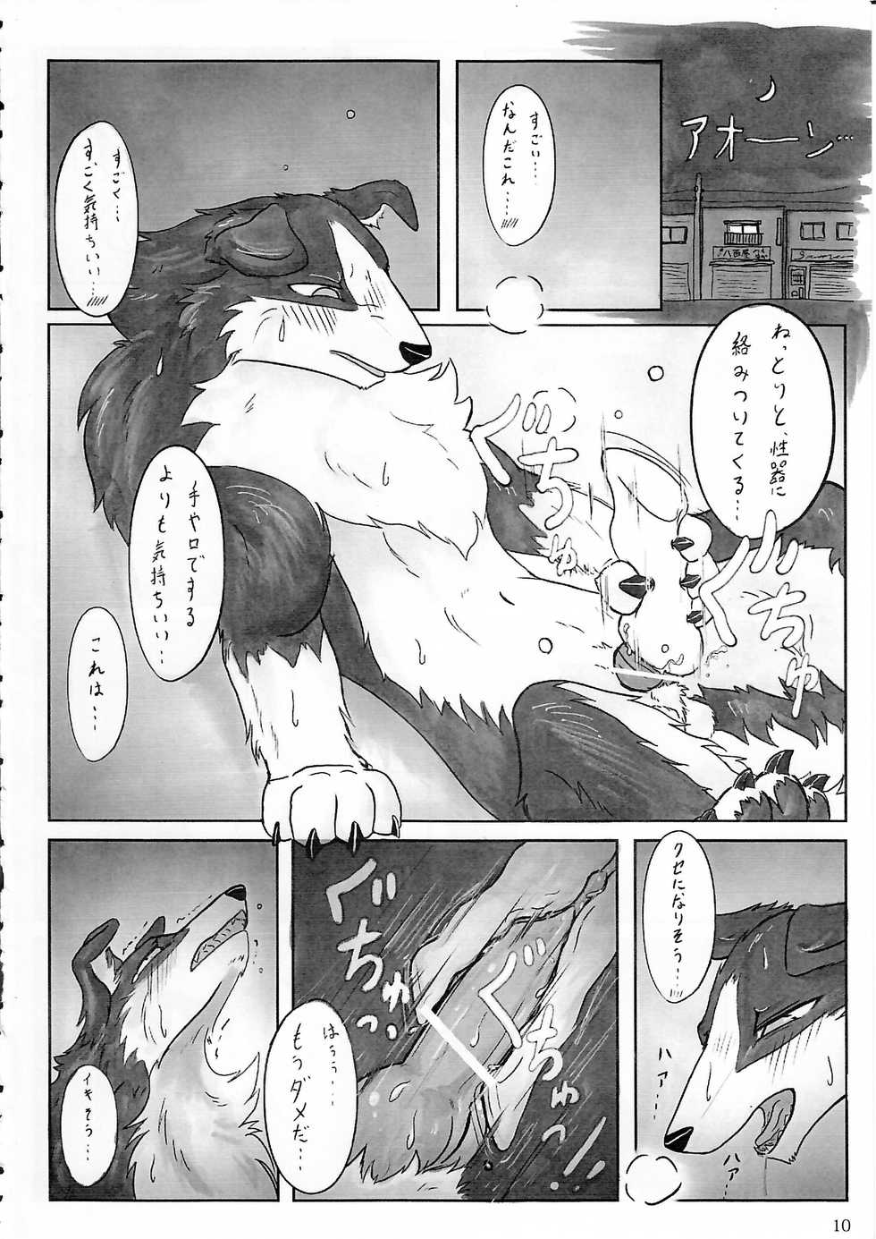 (Kansai! Kemoket 2) [KTQ48 (Various)] KTQ 5 - Page 11