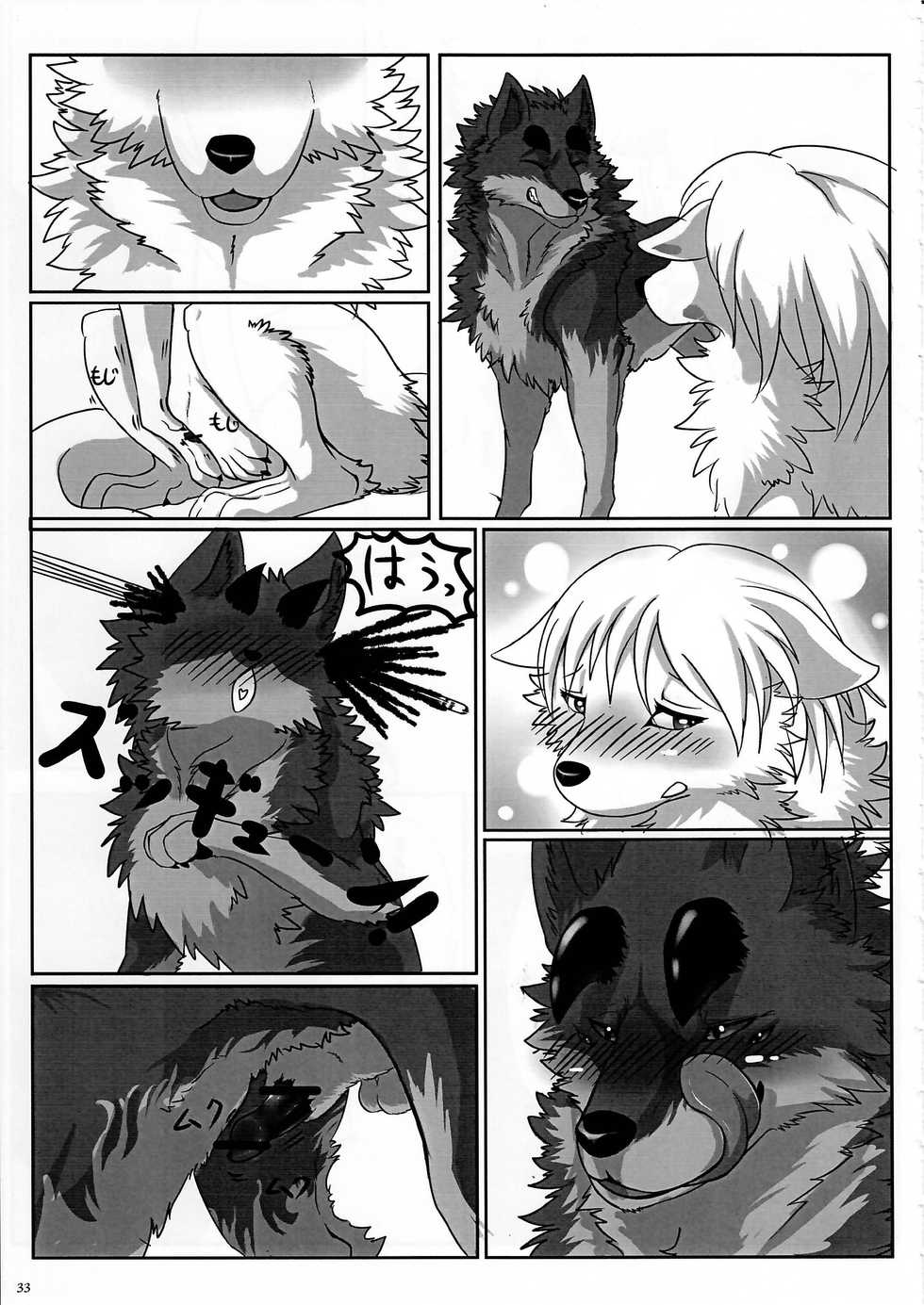 (Kansai! Kemoket 3) [KTQ48 (Various)] KTQ 7 - Page 33