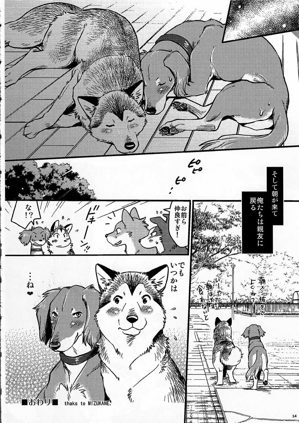 (Kansai! Kemoket 4) [KTQ48 (Various)] KTQ9 - Page 14