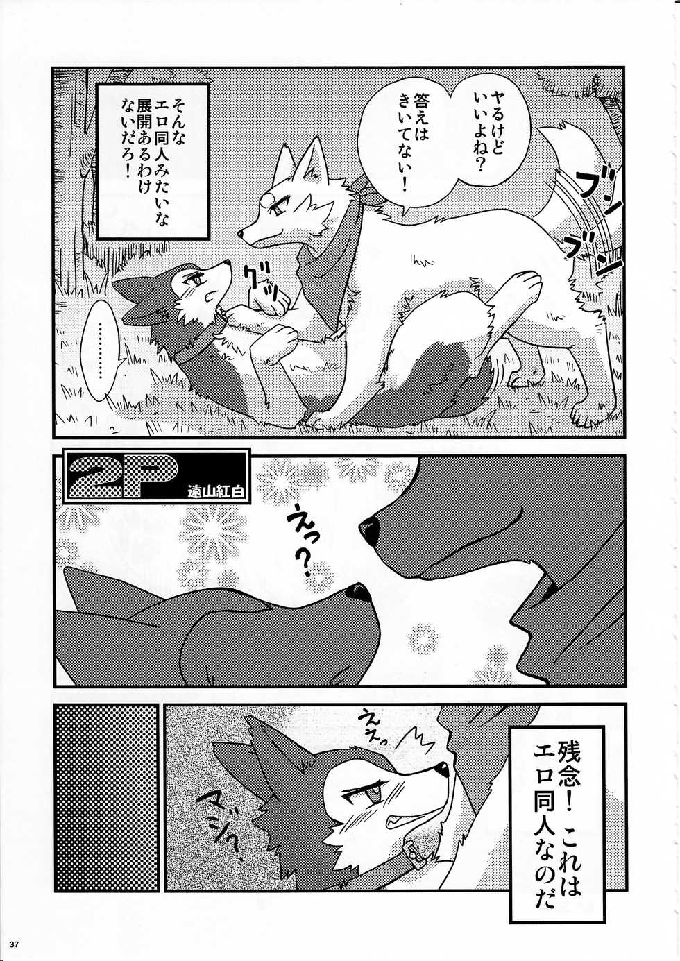 (Kemoket 5) [KTQ48 (Various)] KTQ 10 - Page 36