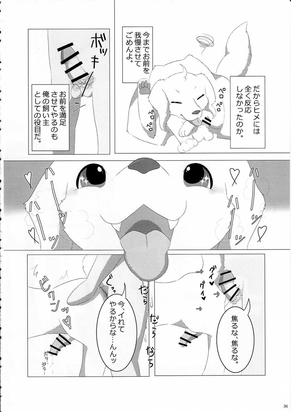 (Kansai! Kemoket 5) [KTQ48 (Various)] KTQ 11 - Page 37