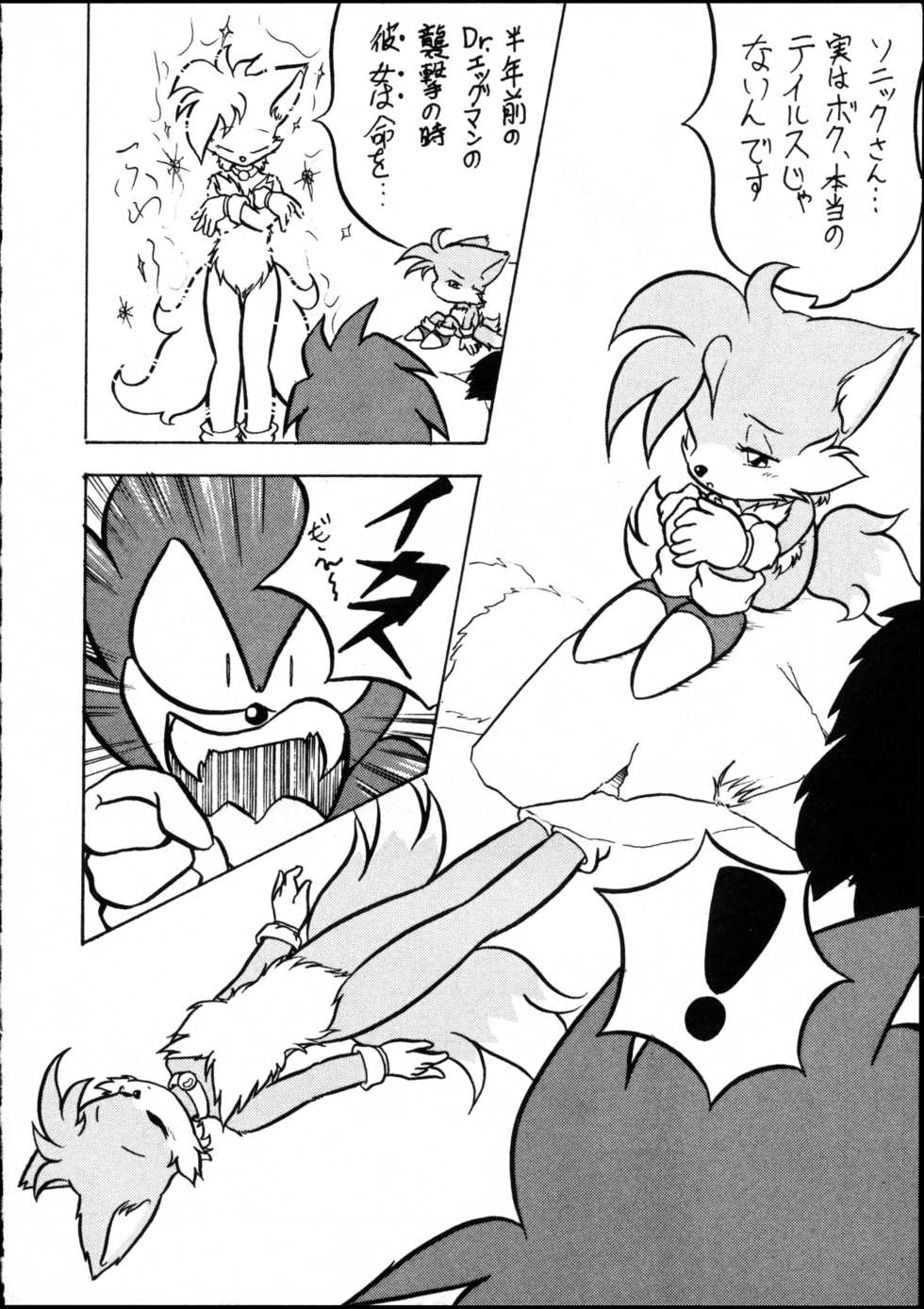 [Tadashii Kemonomichi (Enneko)] Echinococcus Vol. 1 - Page 6