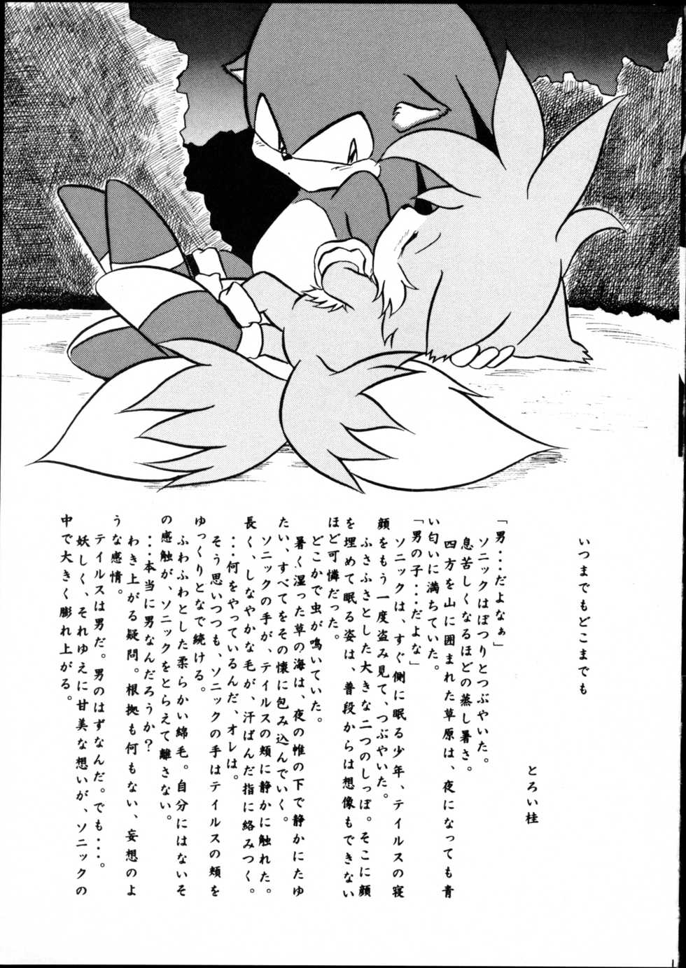 (C52) [Tadashii Kemonomichi (Enneko)] Echinococcus 6 (Pokémon) - Page 6