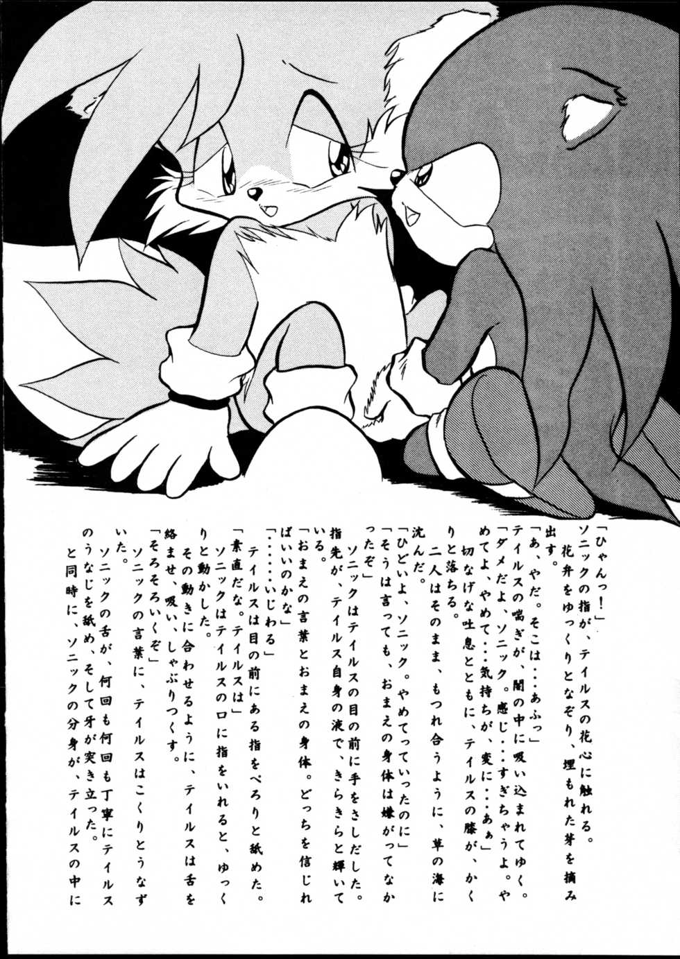 (C52) [Tadashii Kemonomichi (Enneko)] Echinococcus 6 (Pokémon) - Page 9