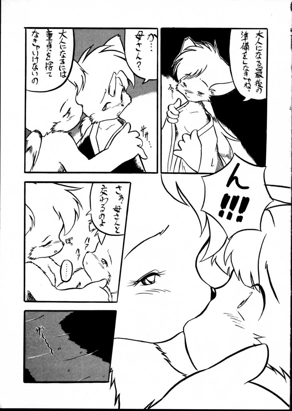 (C56) [Tadashii Kemonomichi (Enneko)] Echinococcus 9 (Sonic The Hedgehog) - Page 10