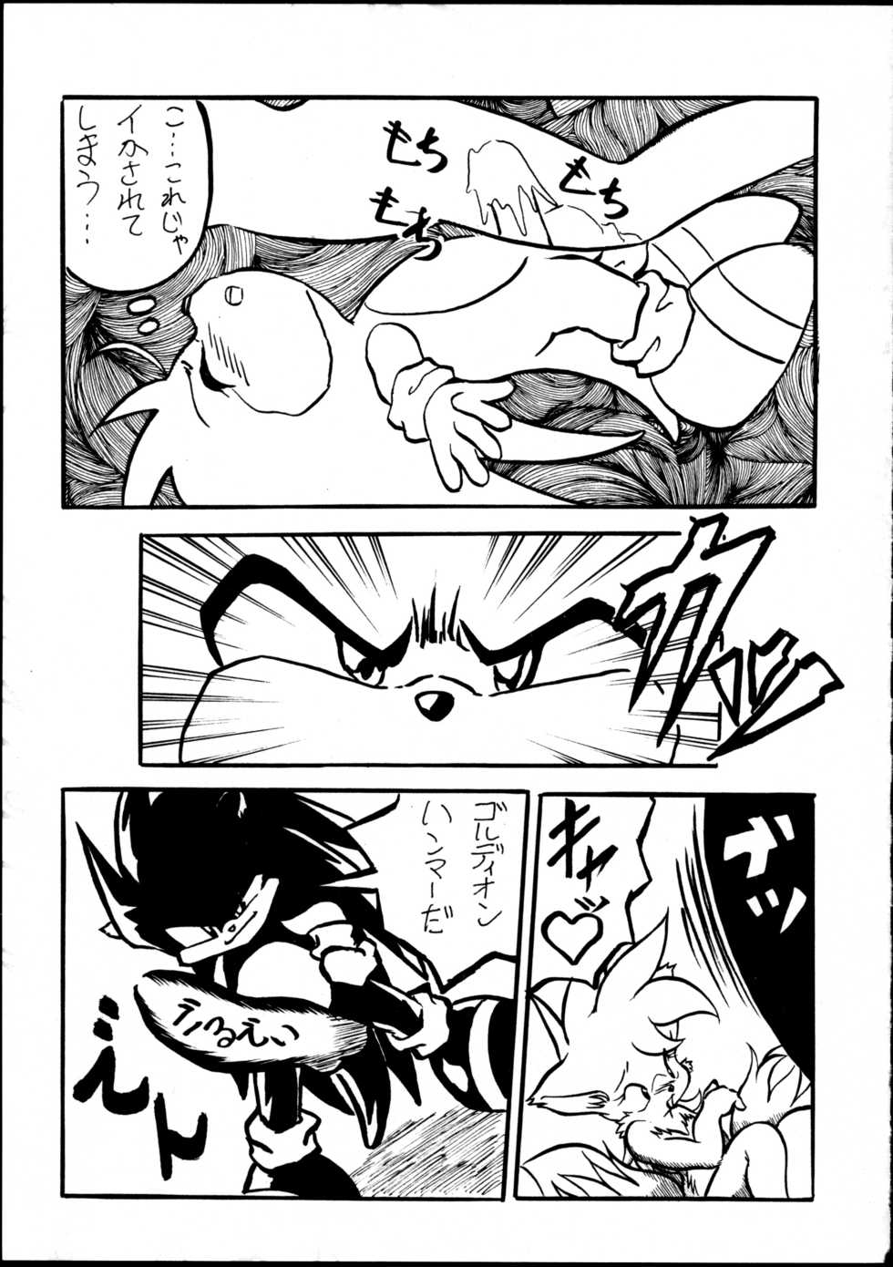(C59) [Tadashii Kemonomichi (Enneko)] Boom (Sonic The Hedgehog) - Page 14
