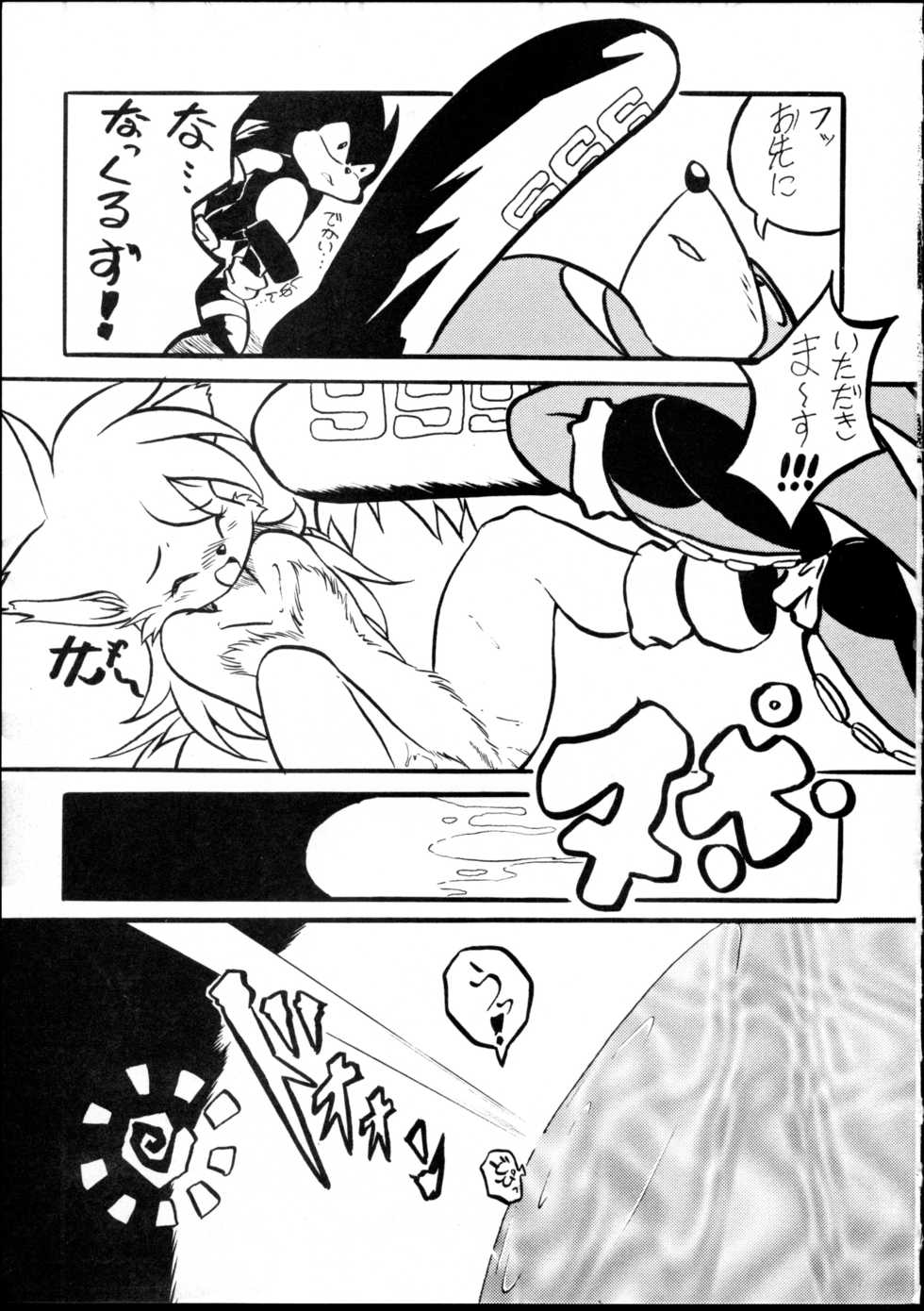 (C59) [Tadashii Kemonomichi (Enneko)] Boom (Sonic The Hedgehog) - Page 16