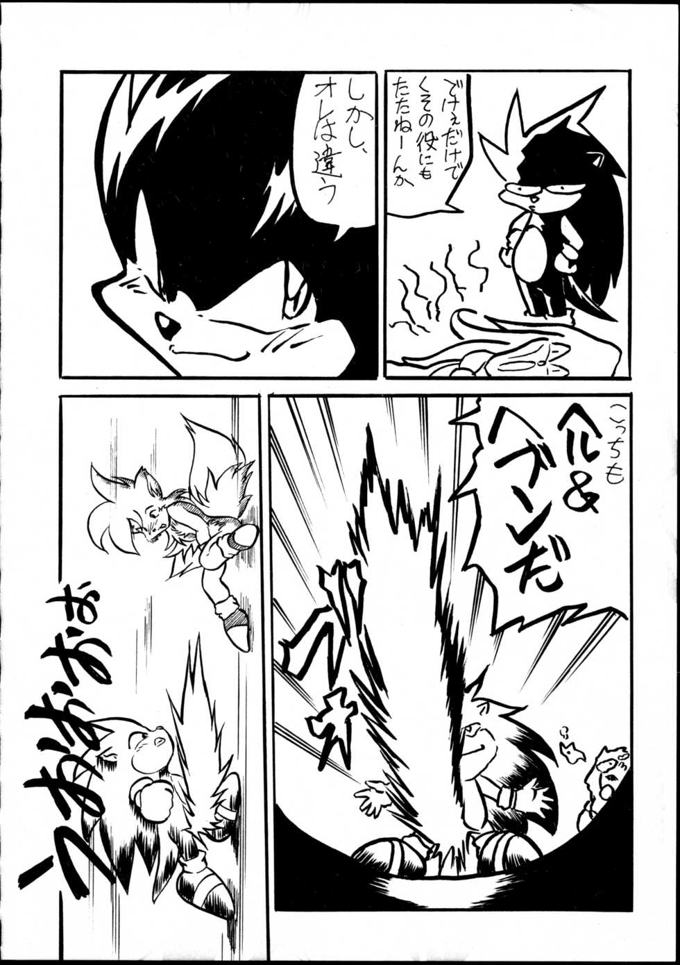 (C59) [Tadashii Kemonomichi (Enneko)] Boom (Sonic The Hedgehog) - Page 17