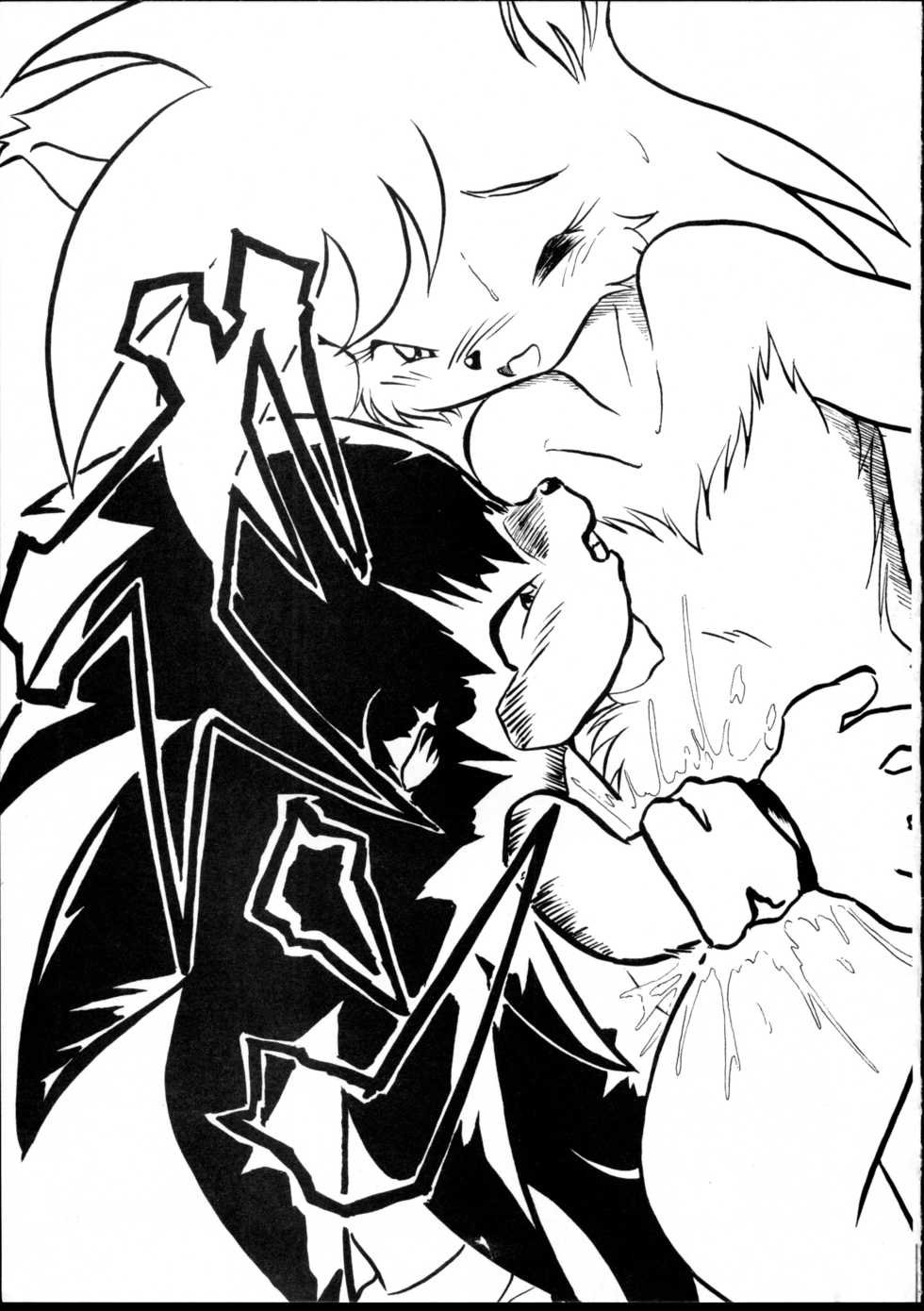 (C59) [Tadashii Kemonomichi (Enneko)] Boom (Sonic The Hedgehog) - Page 18