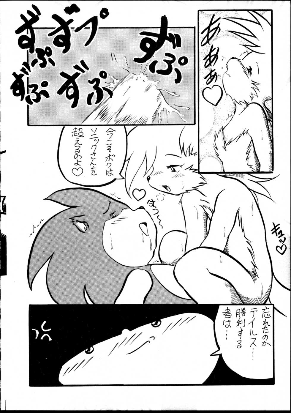 (C59) [Tadashii Kemonomichi (Enneko)] Boom (Sonic The Hedgehog) - Page 19