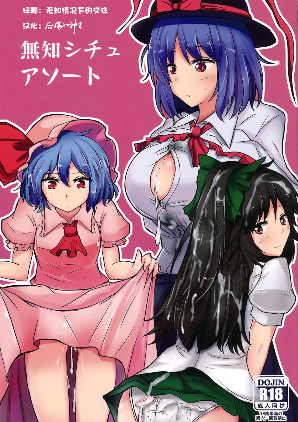 (C84) [Hakuginmokusei (Poshi)] Muchi Situ Assort (Touhou Project) [Chinese] [后悔的神官个人汉化] - Page 1